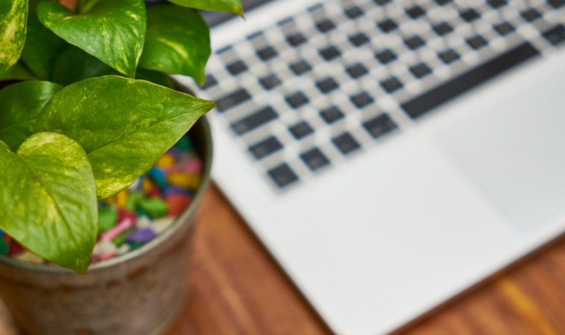 estrategia SEO con contenido evergreen